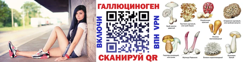 Галлюциногенные грибы ЛСД  Сенгилей 